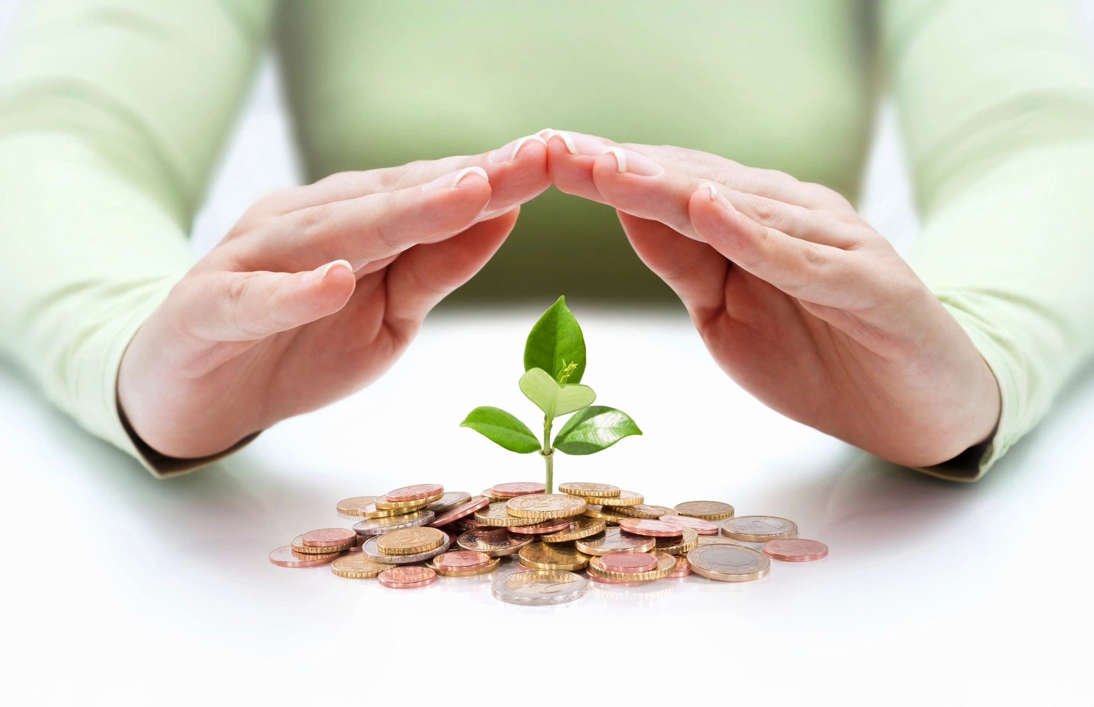 Property value management and investment